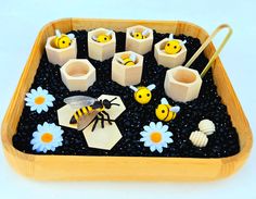 bees and honeycombs are arranged in a tray with black rocks, daisies, and candles