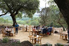 an outdoor dining area with people sitting at wooden tables and chairs, surrounded by trees