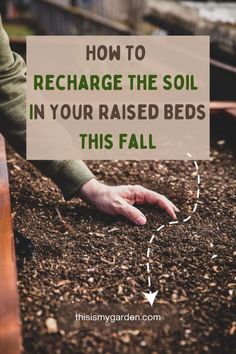 someone's hand reaching for the soil in their raised bed with text overlay that reads how to recharge the soil in your raised beds this fall