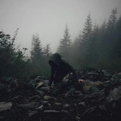 a person sitting on top of rocks in the woods with a foggy sky behind them