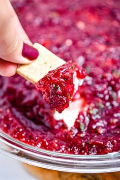 a hand holding a cracker over a bowl of cranberry sauce with cheese