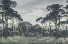 an image of a painting of trees in the woods