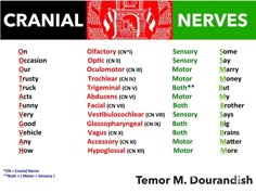 an image of the names of cranial and nerves in different languages