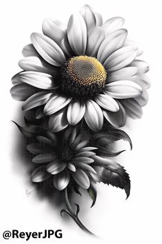 a black and white photo of a flower