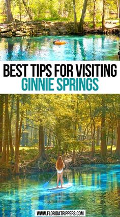 Best Tips for Visiting Ginnie Springs Ginny Springs Florida, Ginnie Springs Florida Camping, Weekie Watchie Springs, Paddle Boarding Florida, Ginnie Springs Florida, High Springs Florida, Palatka Florida, Springs In Florida, Ginnie Springs