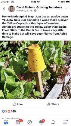 a yellow lamp sitting in the middle of a garden