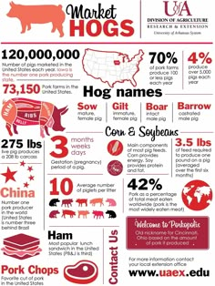 the world's most famous meats info sheet