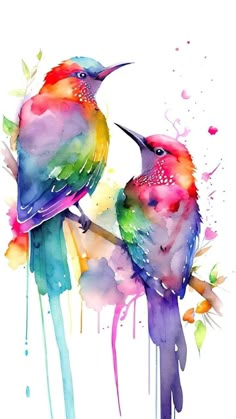 two colorful birds sitting on top of a branch with watercolor paint splatters