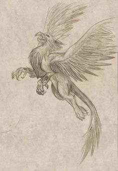 a drawing of a bird with its wings spread