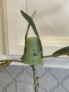 Make an Olive Topiary Inspired by Magnolia Home - An Organized Season Garden Vines