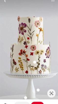 a three tiered cake with flowers painted on the side and white icing, sitting on a pedestal