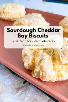 sourdough cheddar bay biscuits Cheddar Bay Biscuits Recipe, Dough Starter Recipe, Red Lobsters, Sourdough Biscuits, Cheesy Biscuit, Sourdough Bread Starter, Cheddar Bay Biscuits