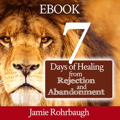 the lion's book 7 days of healing from reflection and abondment