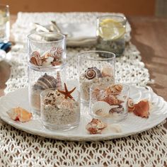 shells and seashells in glass cups on a tray