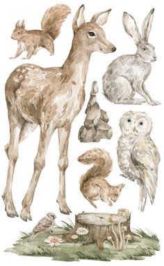 an illustration of various animals and birds in the wild, including deer, owl, squirrel, bird