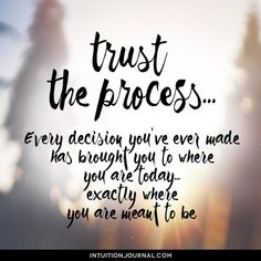 the words trust the process are written in black on a blurry background with trees