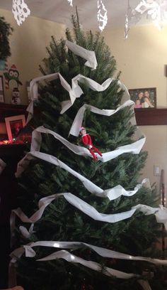 a christmas tree decorated with white ribbon and a cardinal ornament hanging from the top