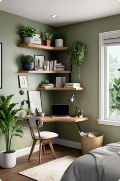 a bedroom with green walls and shelves filled with plants