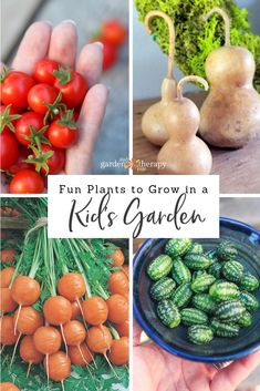 several pictures of vegetables and fruits with the title fun plants to grow in a kids'garden