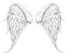 two white angel wings are shown on a white background, one is drawn in pencil