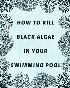 the words how to kill black algae in your swimming pool are printed on a blue background