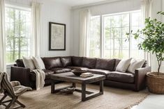 a living room filled with lots of furniture next to large windows and a potted plant