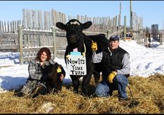 a man and woman pose with a cow in front of a sign that says now it's your turn