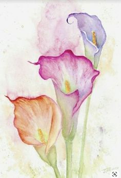 two pink and purple flowers are shown in this artistic watercolor style painting on paper