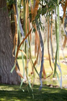 ribbons are hanging from the branches of a tree