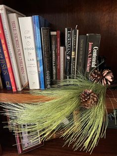 a book shelf filled with books and pine cones