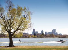 a person on a jet ski in the water near a tree and cityscape