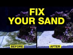 an aquarium with two different types of sand and algae in the bottom right, before and after it has been cleaned