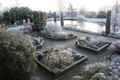 the garden is full of different types of plants and trees, including shrubs with frost on them