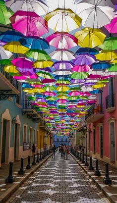 many colorful umbrellas are hanging from the ceiling