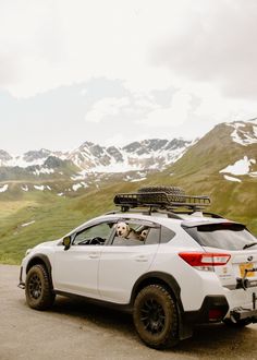 a white car with a dog in the back seat is parked on top of a mountain