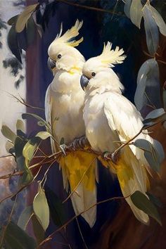 two white birds sitting on top of a tree branch next to eachother's beaks