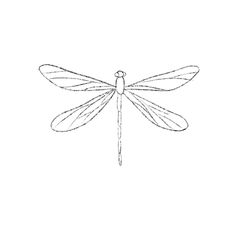 a black and white drawing of a dragonfly