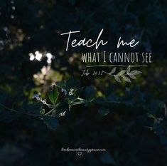 the words teach me what i cannot see are in front of some leaves and trees