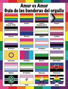 the pride flag is shown with different colors and symbols in each color, which are also on