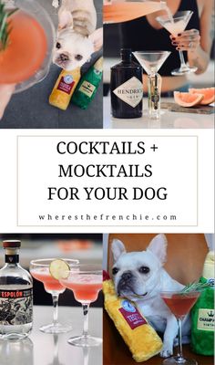 Mock tails for your dog Dog Drink Recipes, Dog Mocktails, Dog Happy Hour, Dog Cocktail, Dog Drinks, Drinks For Dogs, Dog Theme Cocktail, Dog Beer Recipe