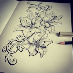 a drawing of flowers on paper with a pencil