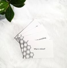 four cards with words on them sitting next to a potted plant