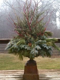 a potted plant sitting on top of a wooden table