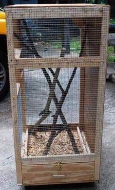 a bird cage sitting on top of a wooden box