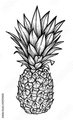 black and white drawing of a pineapple on a white background with clippings