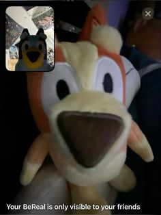 the stuffed animal is being used as a video chater for someone's friends