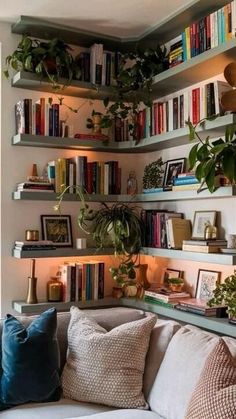 a living room filled with lots of books and plants on the shelves next to a couch