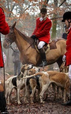 two men in red coats on horses and dogs