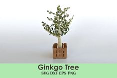 a small tree is growing out of a wooden box with the words ginkoo tree svg dxf eps png