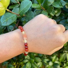 Like the phoenix rising from the ashes, this bracelet combines the transformative energy of powerful crystals: Carnelian, Citrine, Sunstone, and Garnet. It helps heal past wounds and inspires new beginnings. Infused with Reiki energy, this bracelet promotes emotional recovery, while the Evil Eye amulet deflects negativity, protecting you from harmful energy as you emerge stronger than ever. Benefits of this Phoenix Rising Bracelet: Healing and Transformation: Ideal for those looking to overcome Spiritual Red Crystal Bracelet With Natural Stones, Red Spiritual Crystal Bracelet With Natural Stones, Spiritual Carnelian Gemstone Bracelet, Spiritual Carnelian Bracelet With Natural Stones, Red Spiritual Bracelet For Healing, Red Spiritual Bracelets For Healing, Spiritual Carnelian Amber Bracelets, Spiritual Carnelian Amber Bracelet, Spiritual Amber Carnelian Bracelet